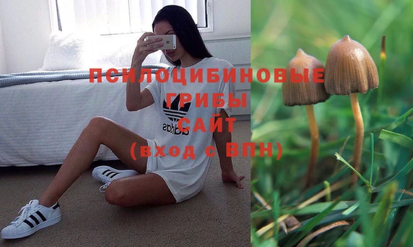гидра Алексин