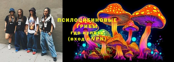 гидра Алексин