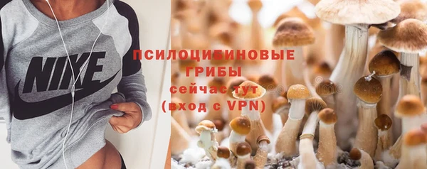 гидра Алексин